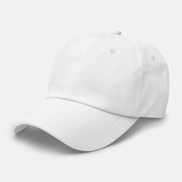Classic Dad Hat